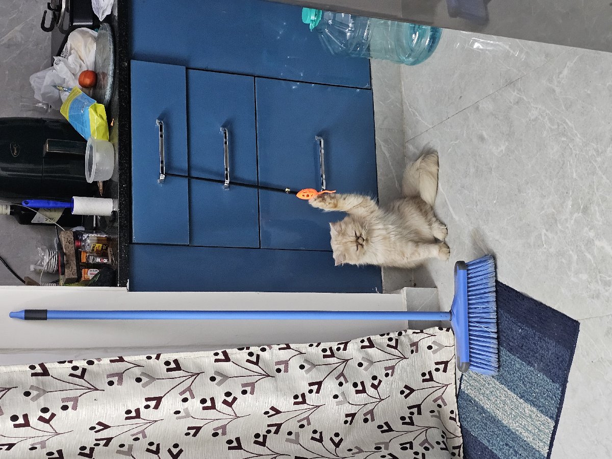 Satvik's home photo 1