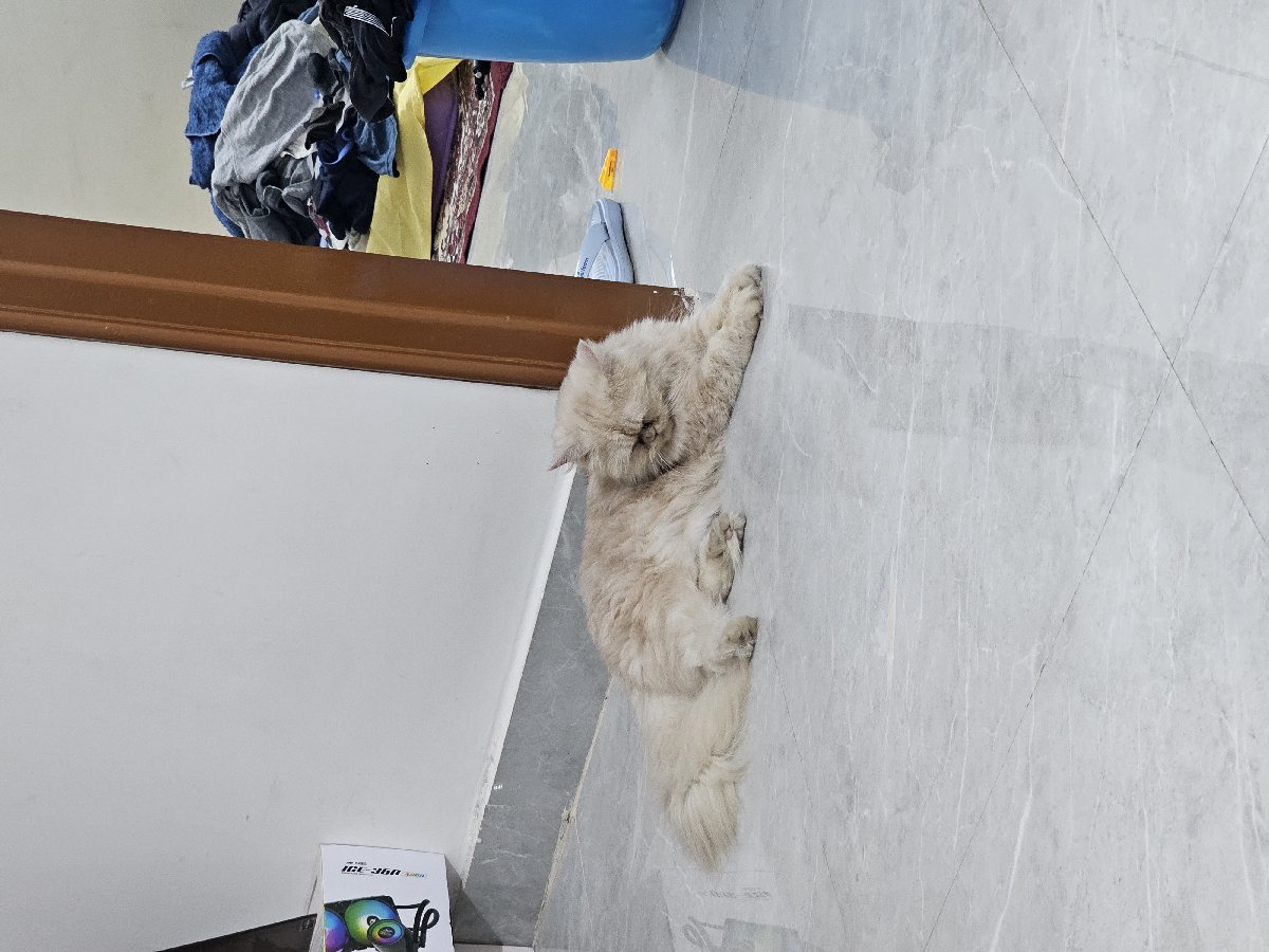 Satvik's home photo 3