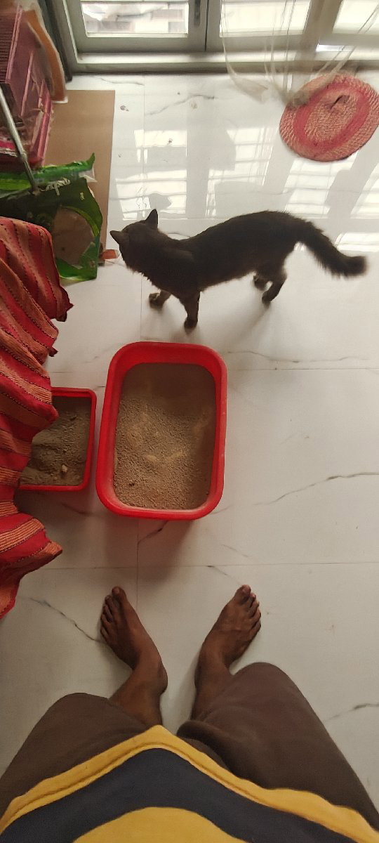 Siddhesh's home photo 5