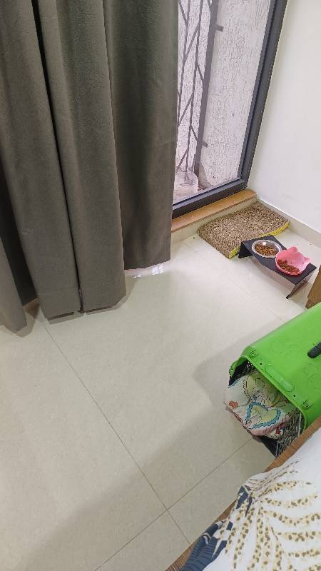 Priti's home photo 3