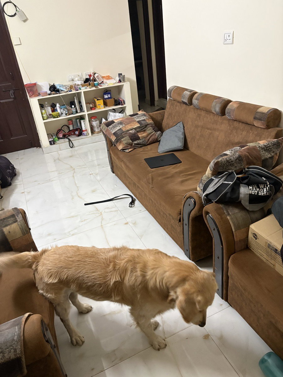 Desina's home photo 2
