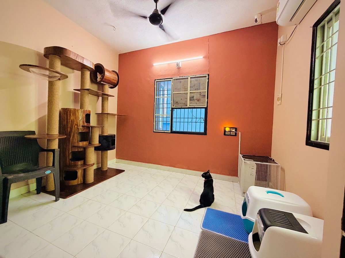 Sushmitha's listing photo 3