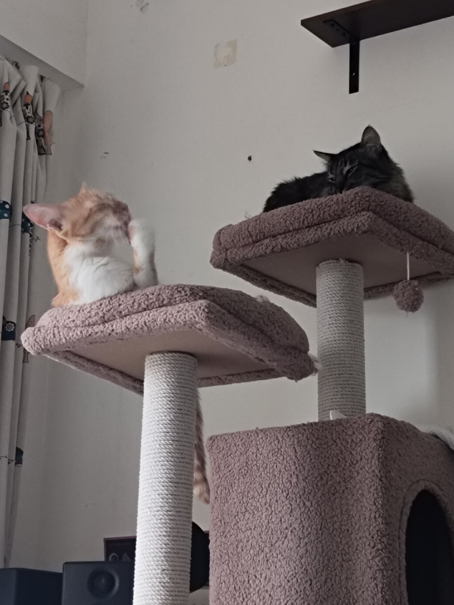 Kaleido's home photo 8