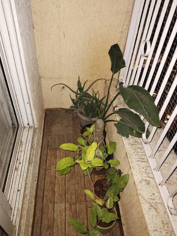 Kaleido's home photo 5