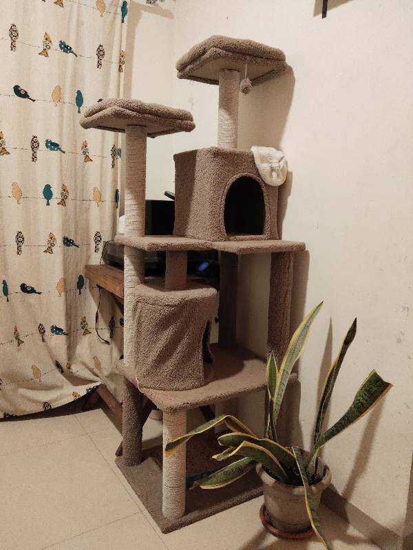 Kaleido's home photo 3