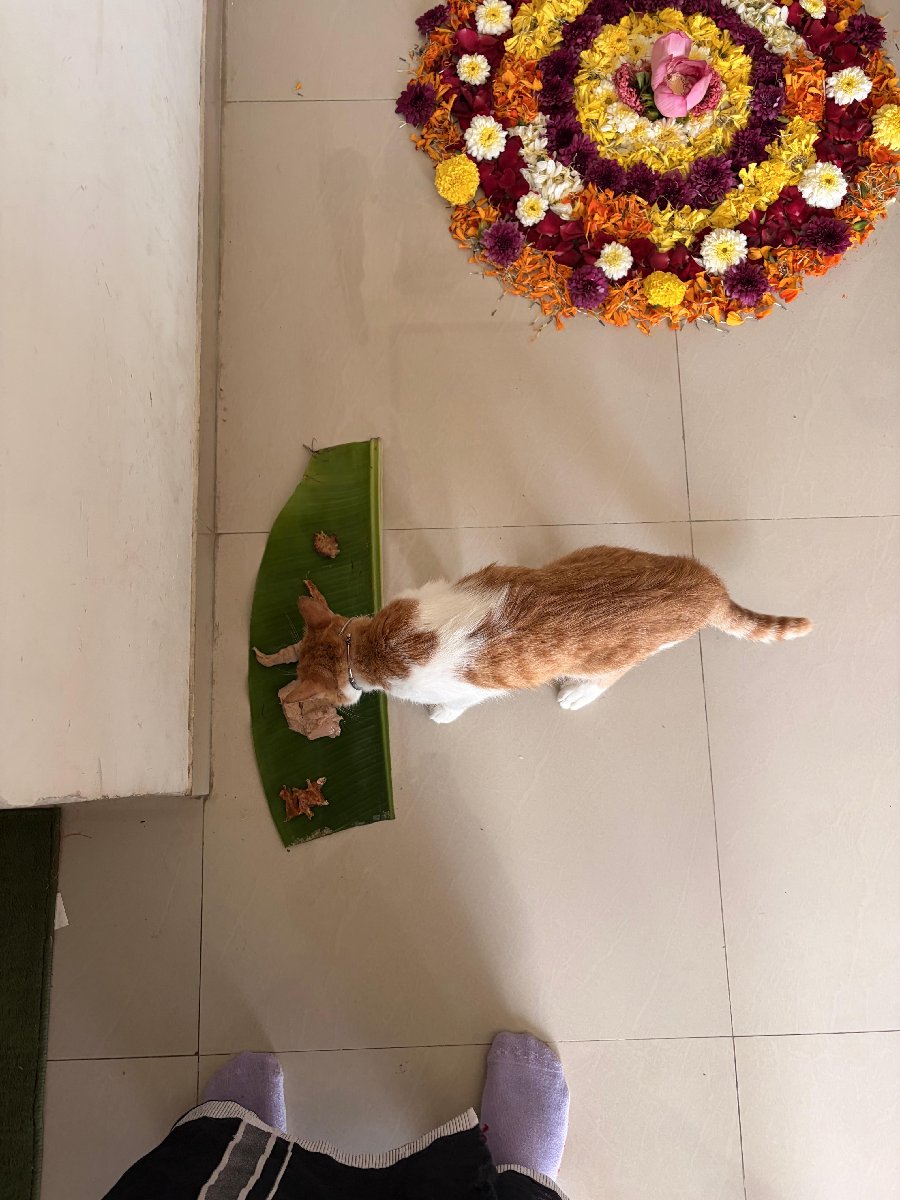 Kaleido's home photo 2