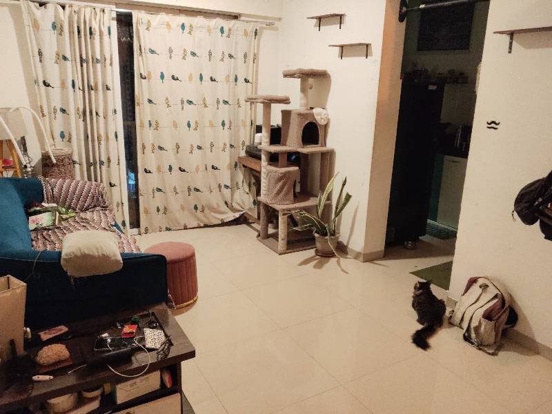 Kaleido's home photo 4