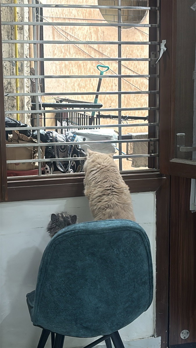 Zaina's home photo 3