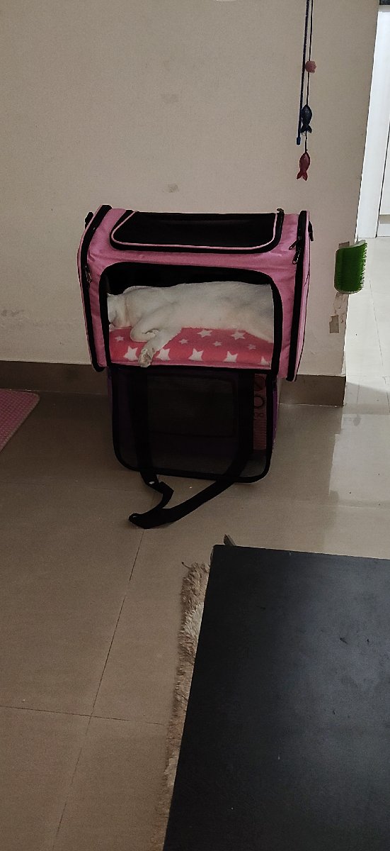 Neha's listing photo 1