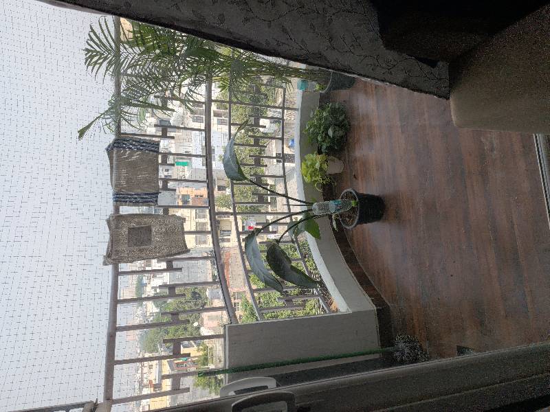 Shivangi's listing photo 3