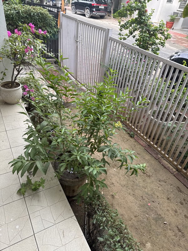 Cheena's listing photo 2