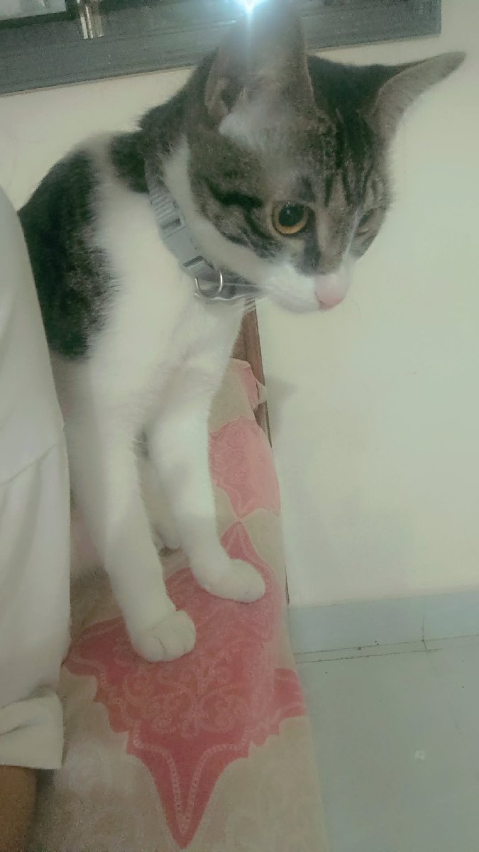Kumkum's home photo 7