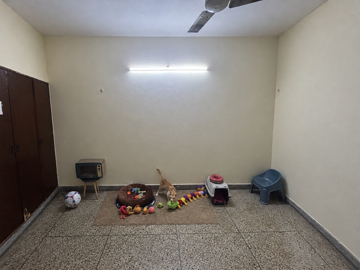 Rafat's listing photo 1