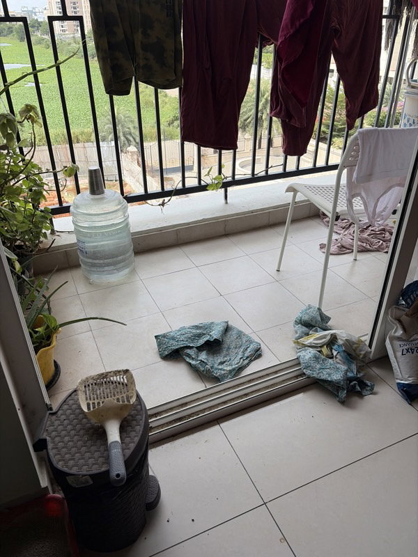 Tara's home photo 5