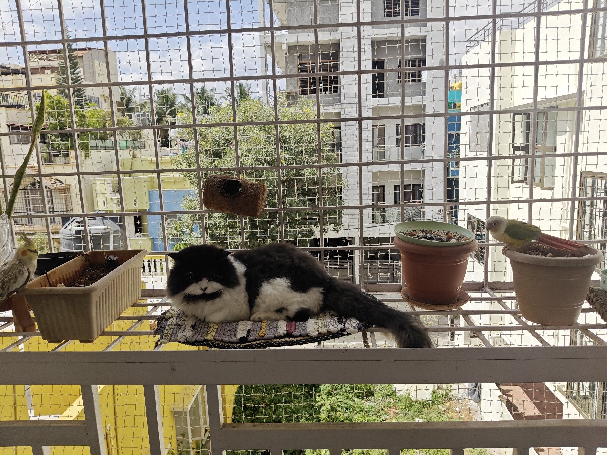 Swapna's home photo 6