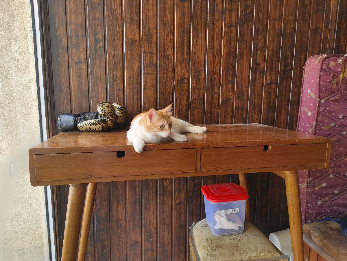 Silpa's listing photo 2