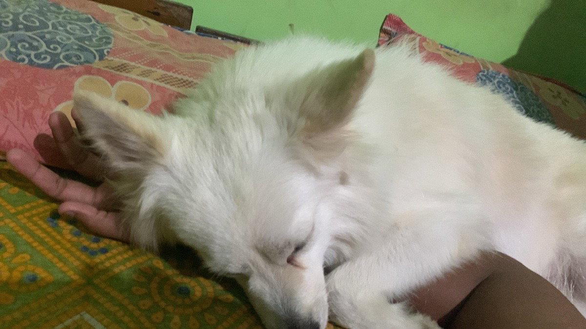 Manisha's home photo 8