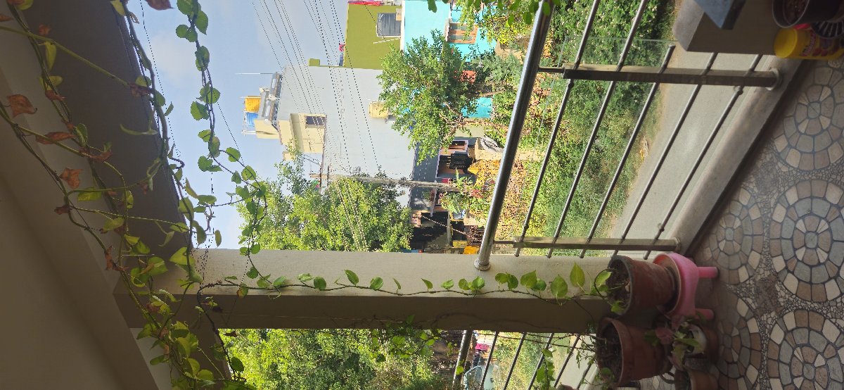 Meghana's home photo 2