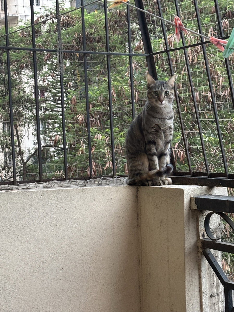 Pallavi's home photo 5