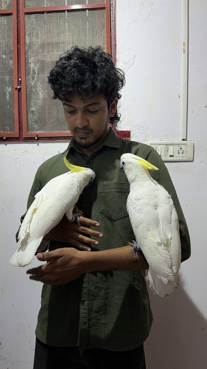 Thilak's listing photo 1