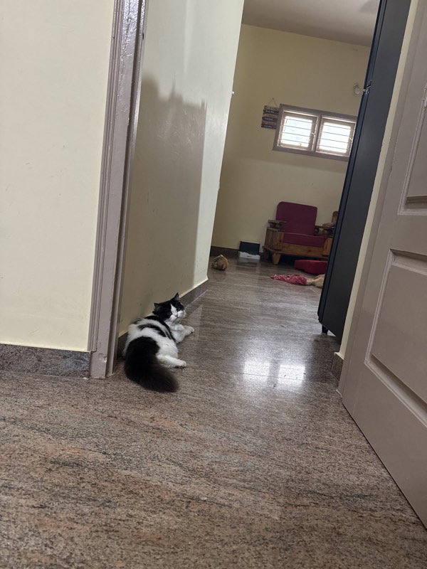 Jayalakshmi's home photo 1