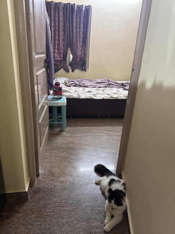 Jayalakshmi's home photo 2