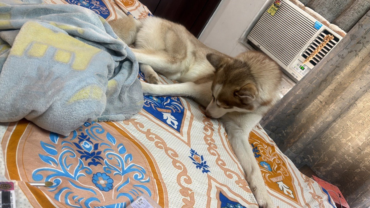 Sakshi's home photo 3