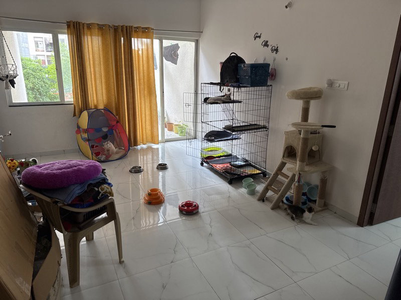 Ayush's home photo 1