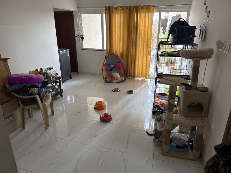 Ayush's home photo 2