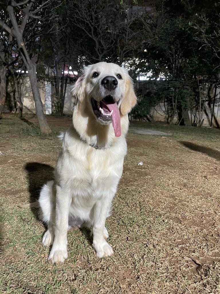 πΎπ **Bhumi has completed her daycare with us!** ππΎ
What a lovely day it has been with our sweet girl! π₯° From cuddles and playtime to yummy food, little naps, and lots of love
Thank you for trusting us with your precious baby, Bhumi! Weβd love to have you back again soon. π₯Ήπ
**Until next time, little one! πΎπΈ**