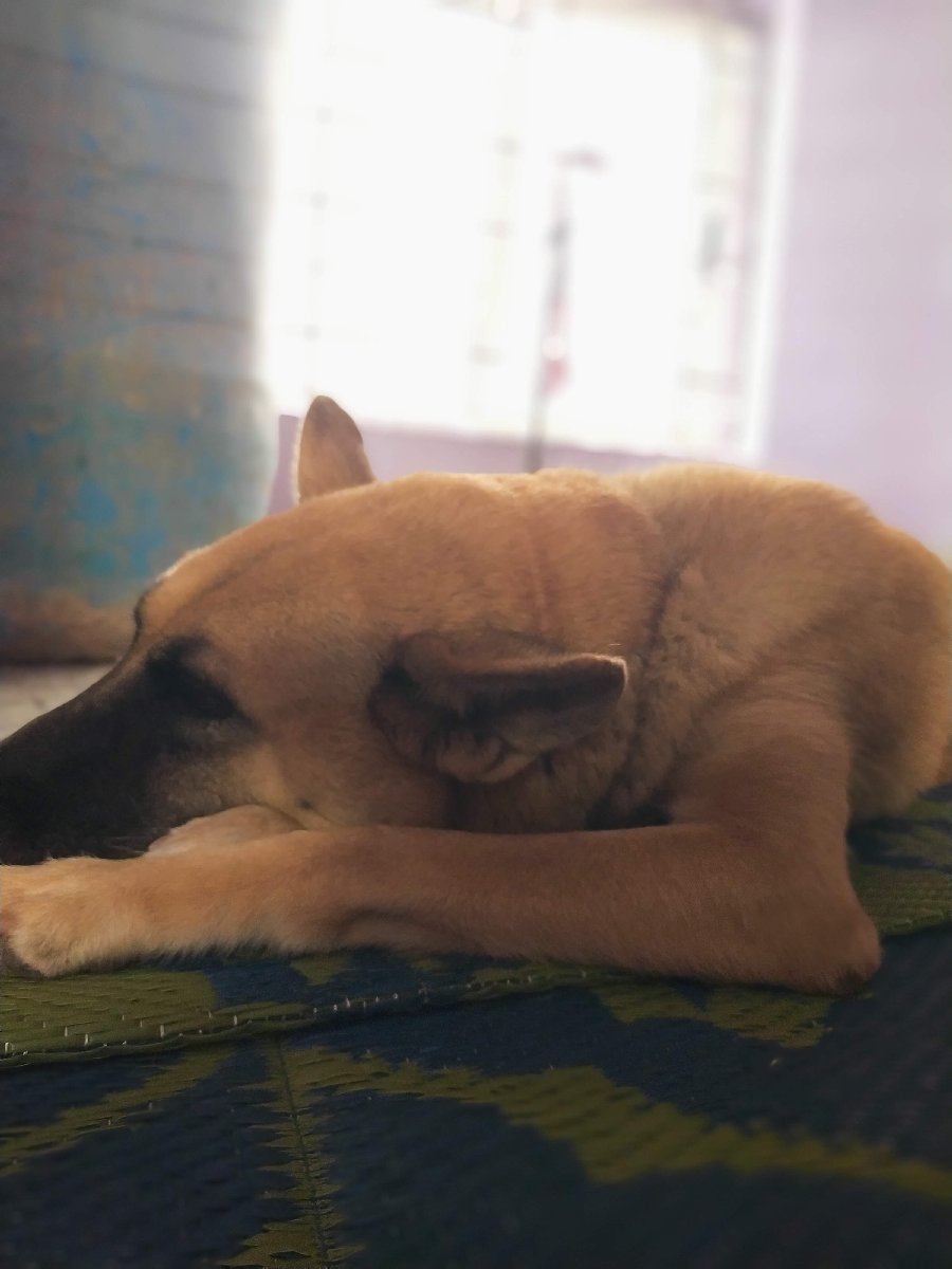 G's profile photo