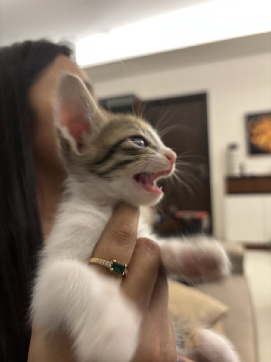 Tejeswita's profile photo