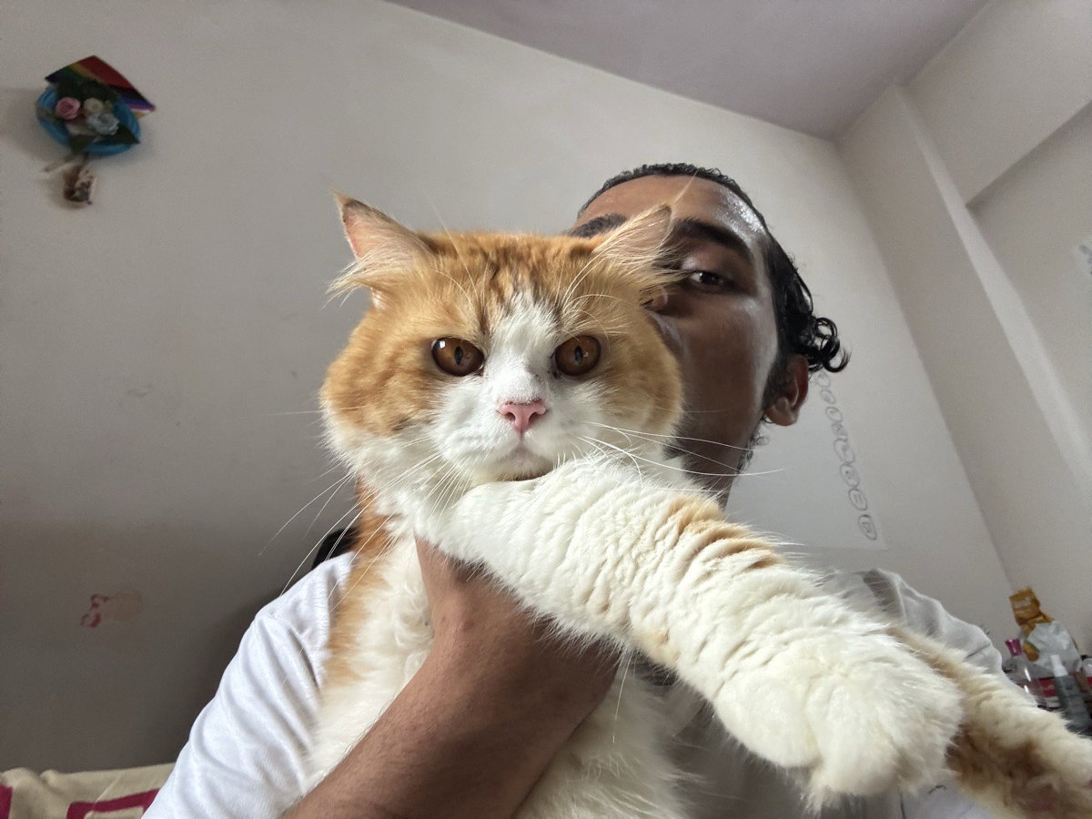 Aniket's profile photo