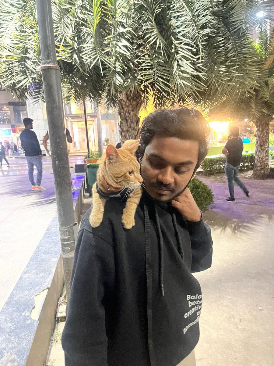 Sudipta's profile photo