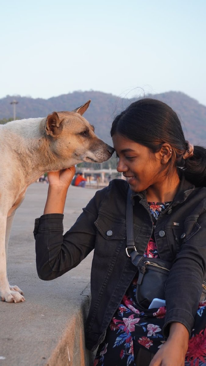 Sree's profile photo