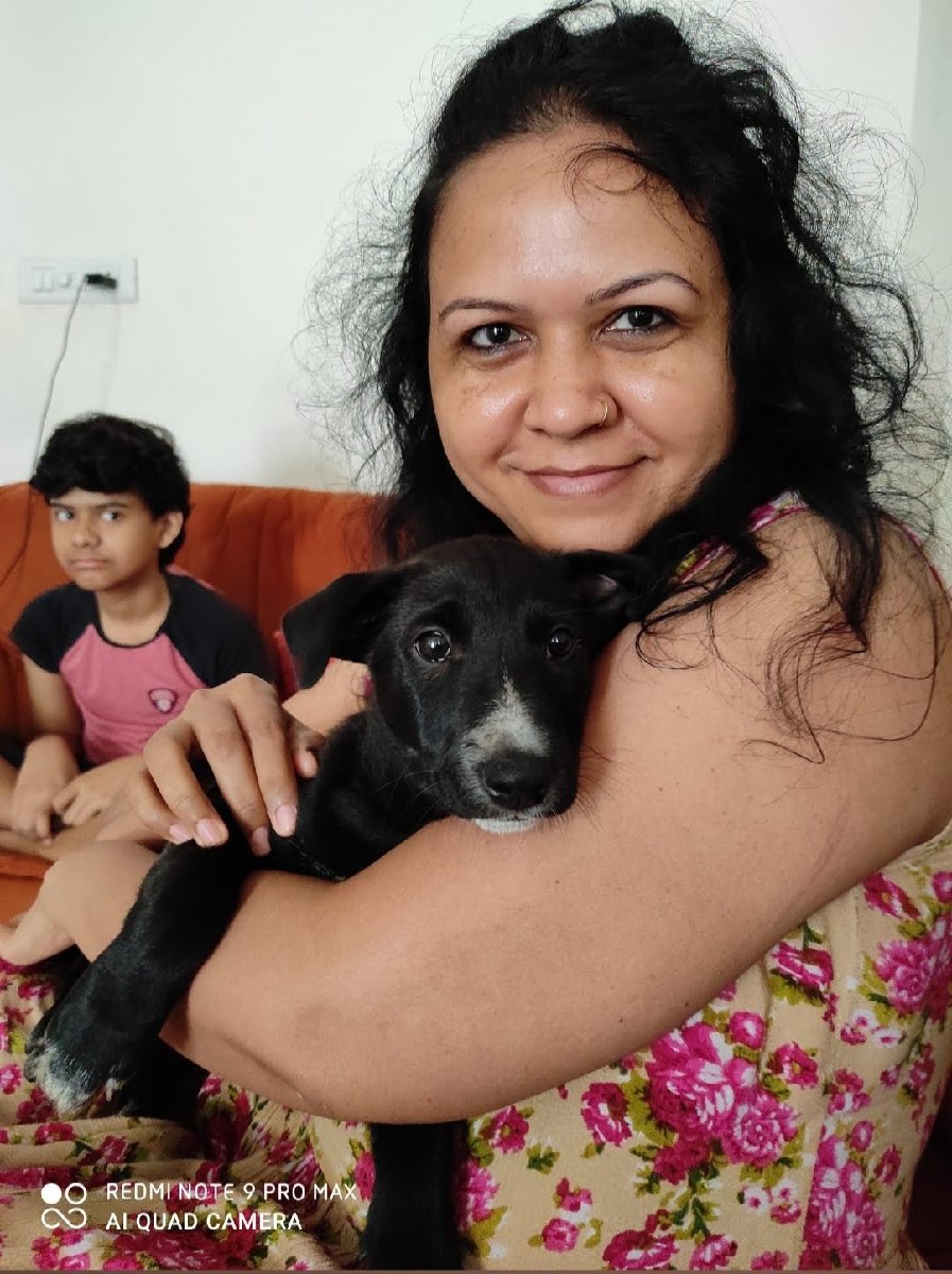 Sharada