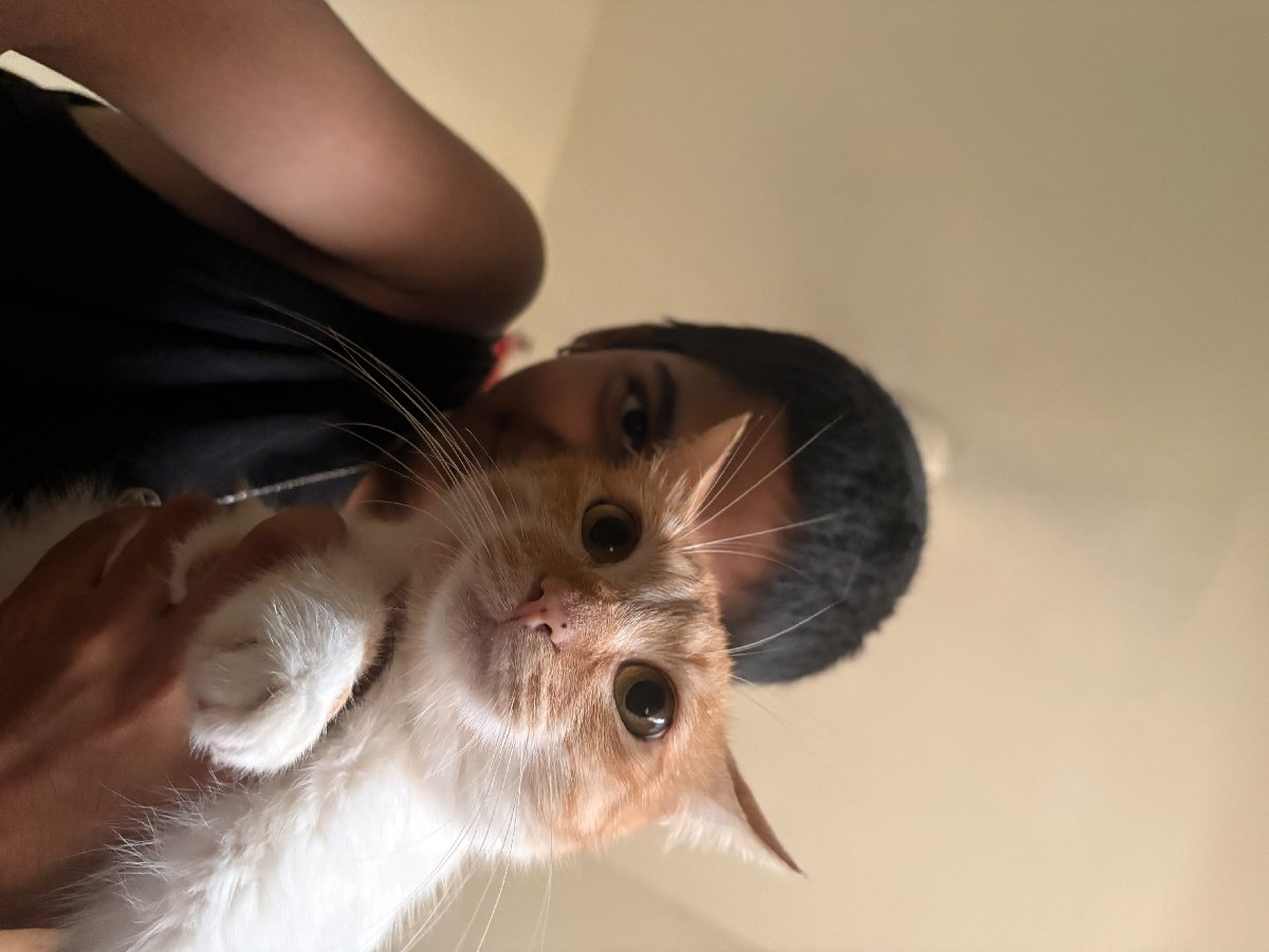 Kaleido's profile photo