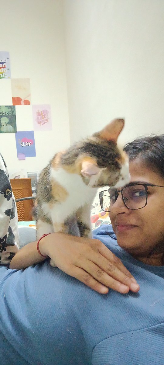 LALITA's profile photo