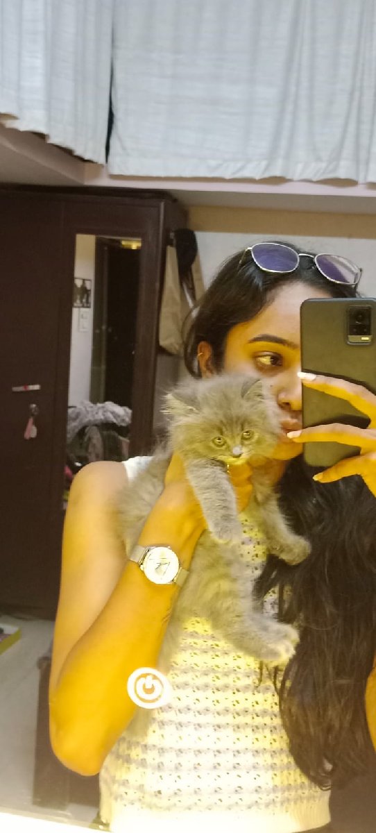 Anshika's profile photo
