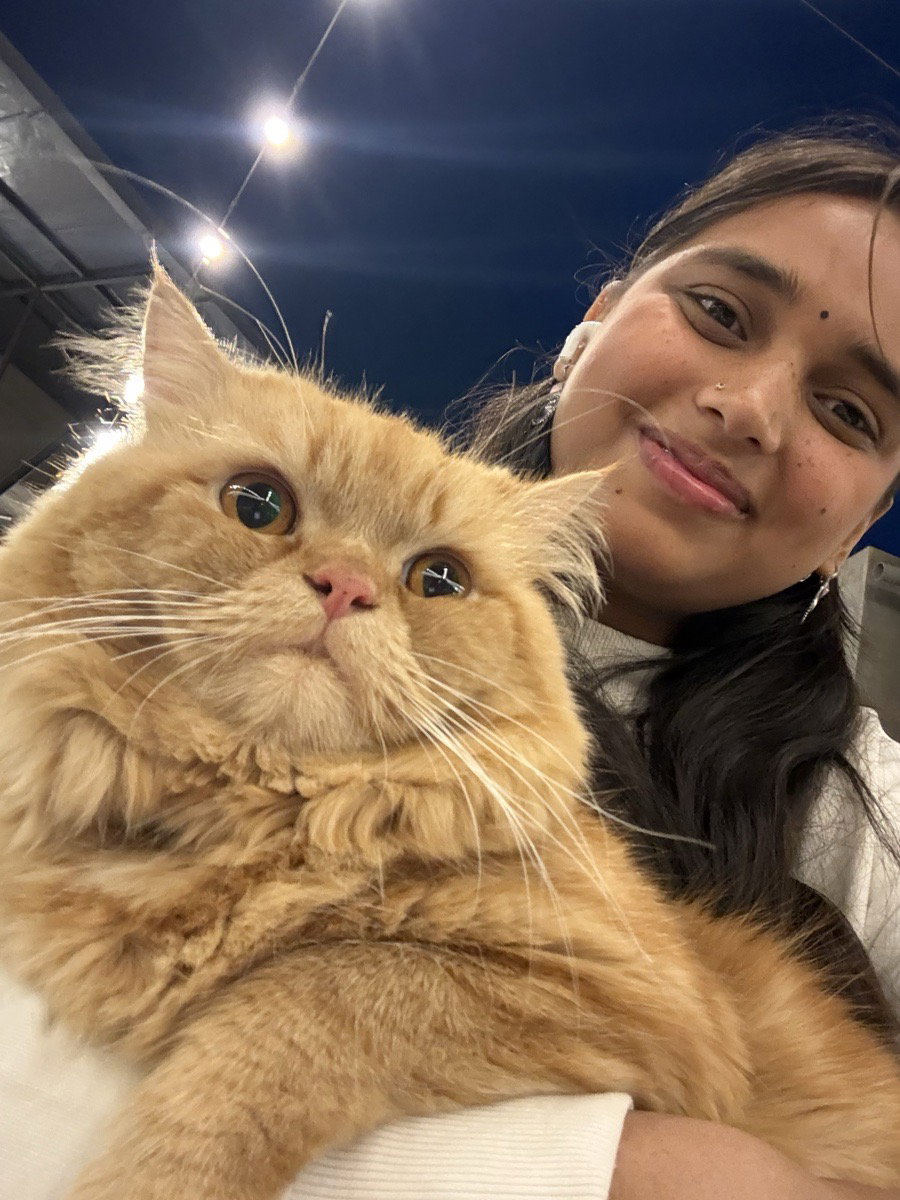 Sweta's profile photo