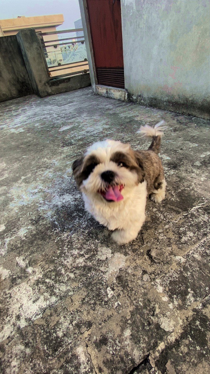 Shubham's profile photo