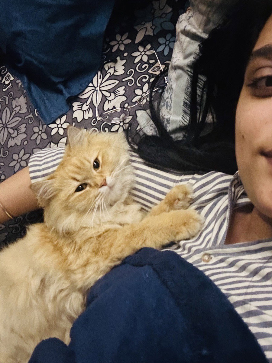 Anjali's profile photo