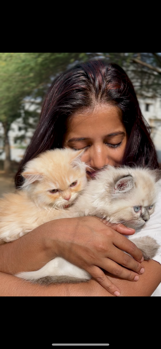 Ramyashree's profile photo
