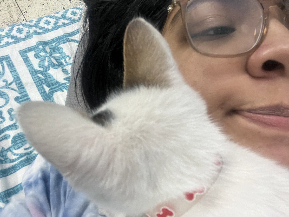 Oorna's profile photo