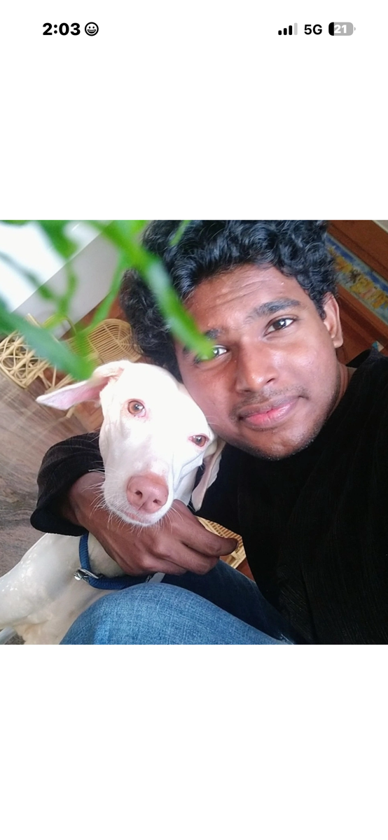 Alfin's profile photo