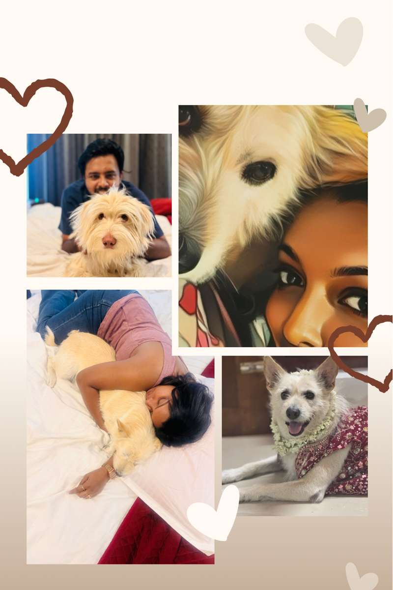 Sneha's profile photo