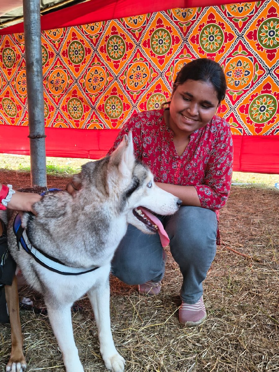 Sakshi's profile photo
