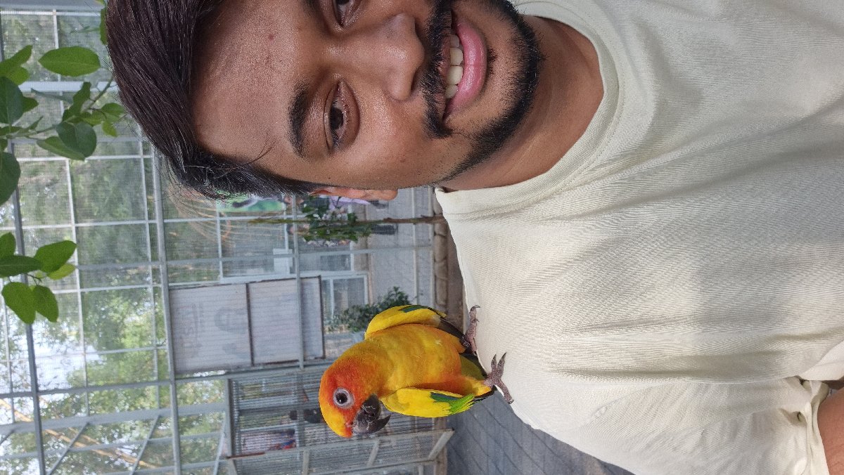 Aniket's profile photo