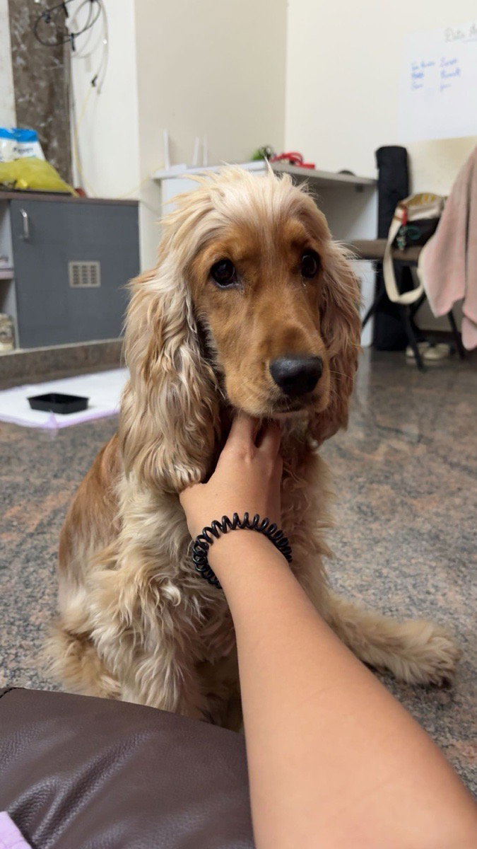 My best friend Kuku! 🧸