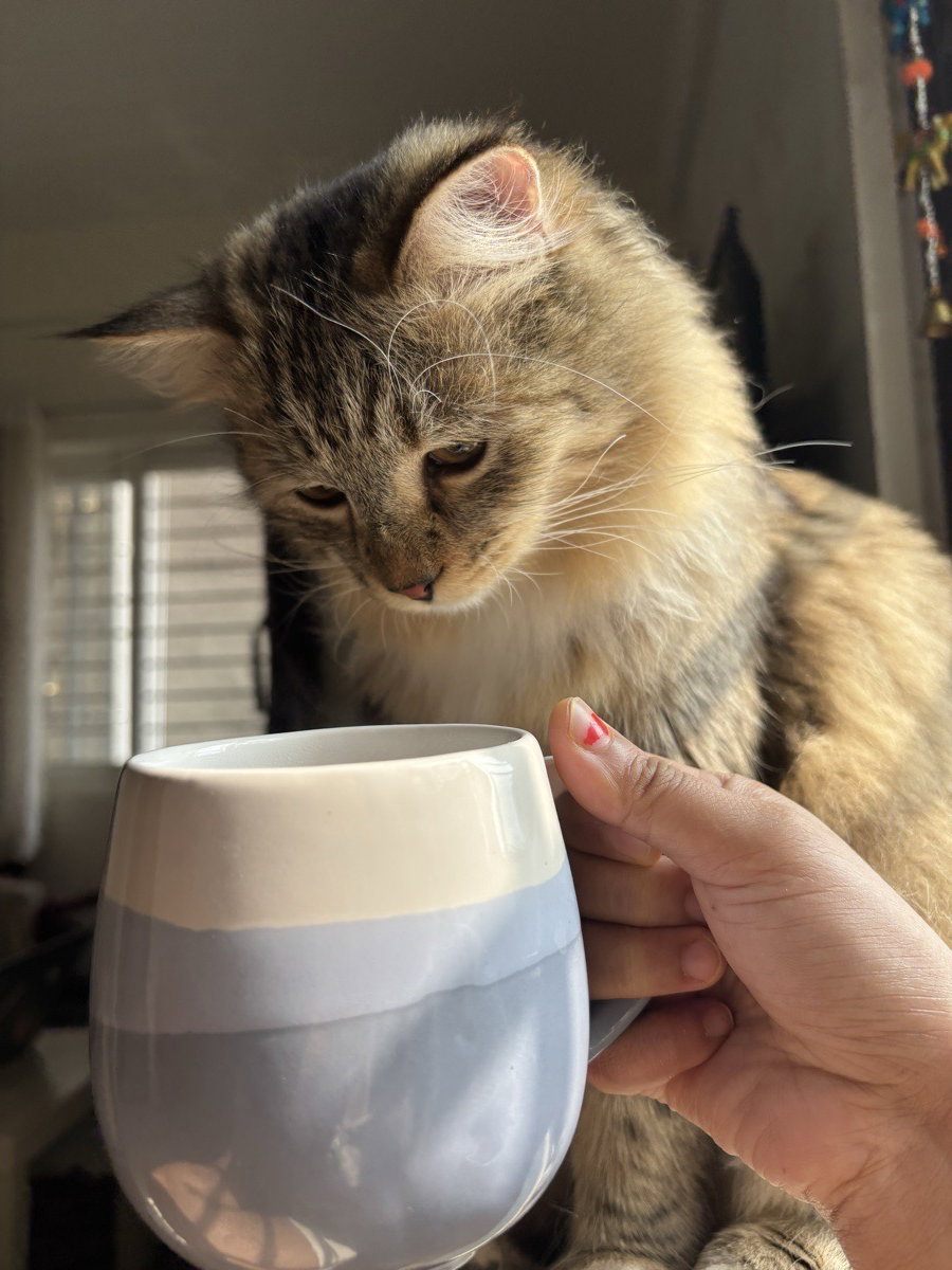 Morning tea with curious Ollie❤️